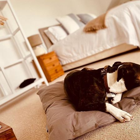 The Ventnor Annex Bed and Breakfast Εξωτερικό φωτογραφία