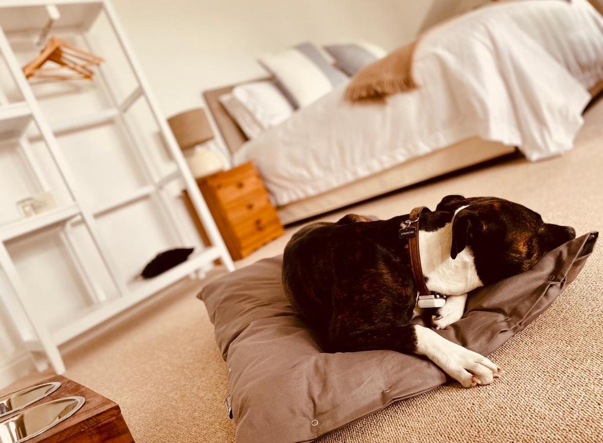 The Ventnor Annex Bed and Breakfast Εξωτερικό φωτογραφία